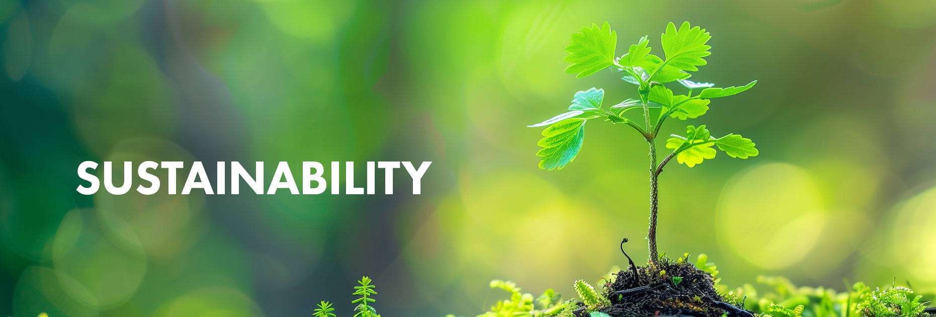 collagen dietary supplement