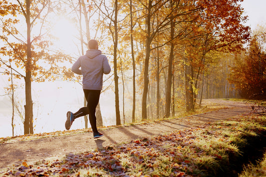 Do Multivitamins Help the Immune System?