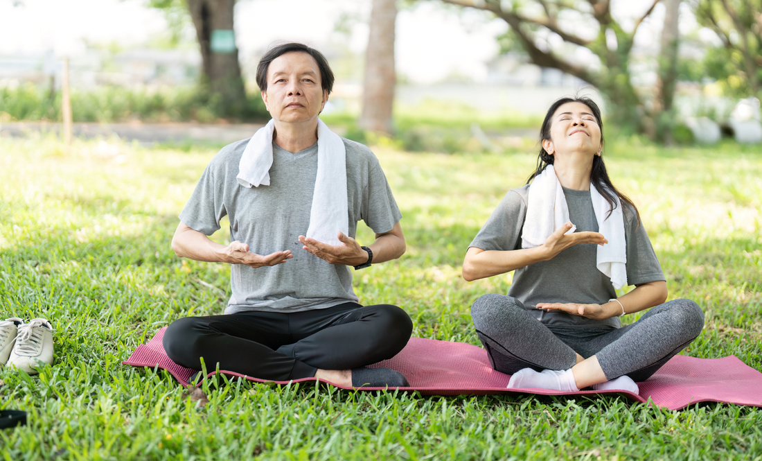 Vitamin B Complex – Daily Energy & Well-Being Support | Willkins