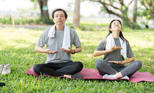 Vitamin B Complex – Daily Energy & Well-Being Support | Willkins