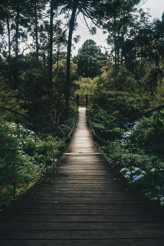 How to Create a Self-Care Routine: Tips for a Healthier Mindset