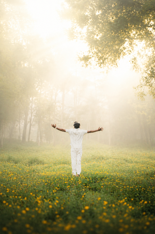How to Build the Perfect Daily Supplement Routine for Optimal Health
